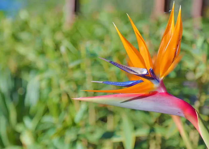 Marinca & Отель 5*