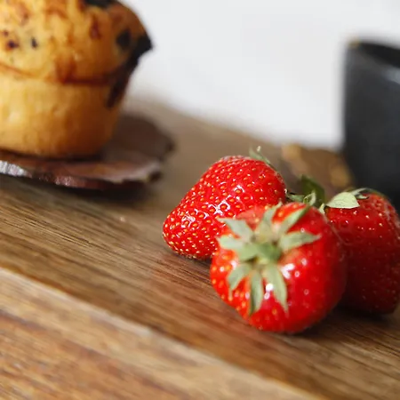 Marinca & Hotell Olmeto (Corsica)