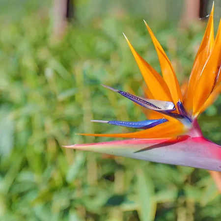 Marinca&spa Hotel 5*